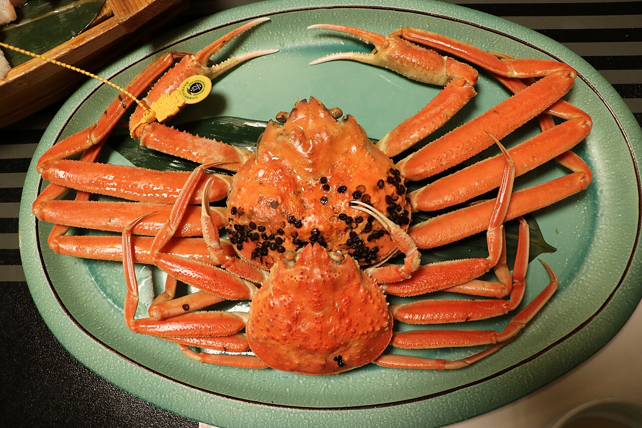 Echizen Royal Snow Crab